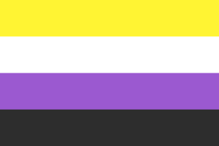 A non-binary pride flag